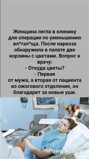 Корзина с цветами 😂#юмор #прикол #смех