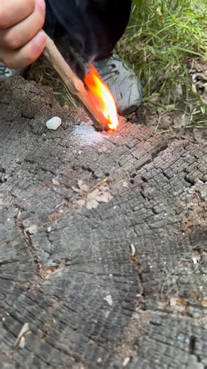 How to Start a Fire in the Forest Without Matches or a Lighter 🔥🌲