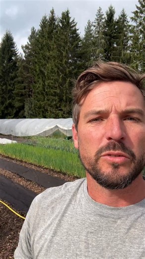 6.1K views · 52 reactions | Tools of the trade… it can be very simple and low cost to start up in #marketgardening compared to any other farm enterprise | Ridgedale Farm | Facebook