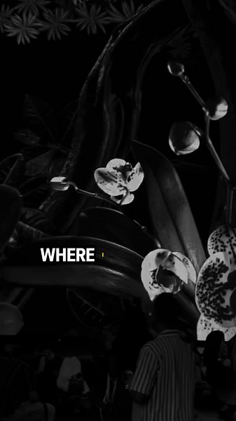 Joker's Best Motivational Quotes for Life Inspiration