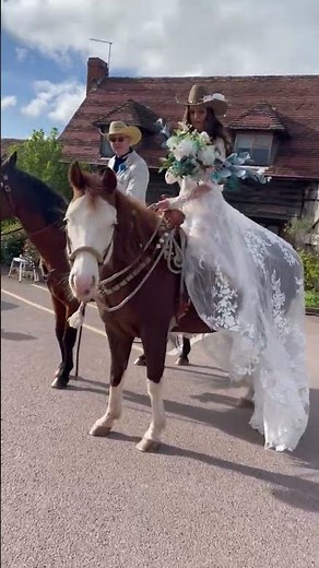 Hay... and Wedding Dresses are for Horses || ViralHog