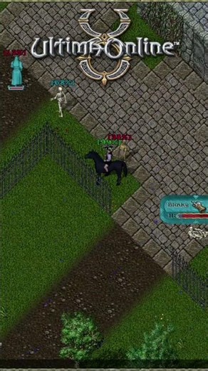 GUARD ZONE IS JUST A FEW TILES AWAY!!! #MMORPG #NOSTALGIA #ULTIMAONLINE