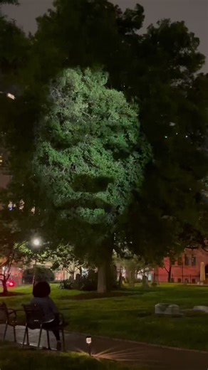 This is 'Monuments', an art installation in Charlotte, NC. Artist Craig Walsh put a face in the trees to honor the souls of all the enslaved people buried in cemeteries with no names.