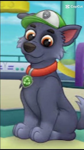 paw patrol rocky x zuma ship