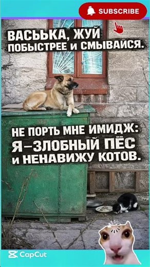 🤣🤣#юмор #смех #memes #shorts