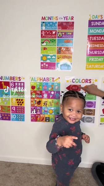 Early Learning Activities with Colorful Educational Posters