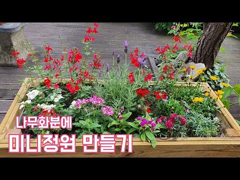 정원꾸미기 | 직접만든 나무화분, 미니꽃밭 만들기 🌿체리세이지, 라벤더, 청화국, 이메리스 모아심기로 만든 나만의 작은정원!!