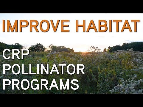 Habitat Improvements For Pheasants, Quail, Deer & Turkey | Pollinator Programs
