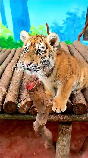 Before & After Animals Growing Up. Amazing Animal Transformation💥#animaltransformations #animals
