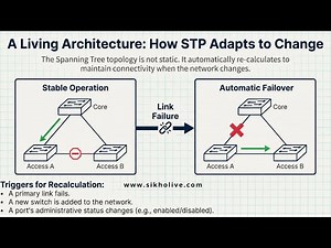 STP Spanning Tree Protocol Live | CCNA Switching Explained | Labs