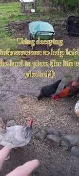 Using decaying materials to reinforce the LAND #ecosystemrepair