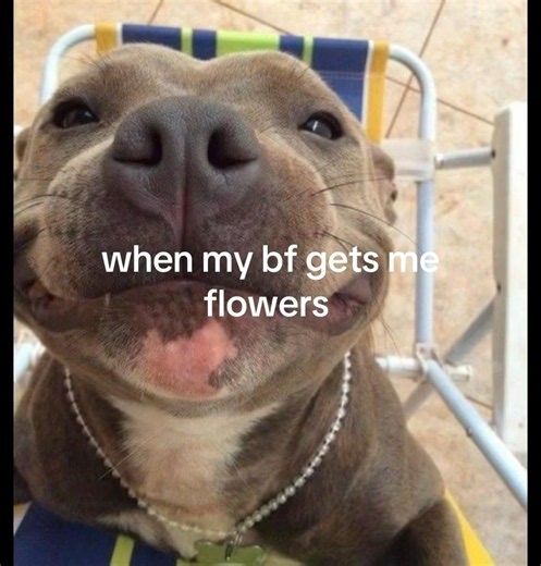 best thing ever #bf #funny #meme #fyp