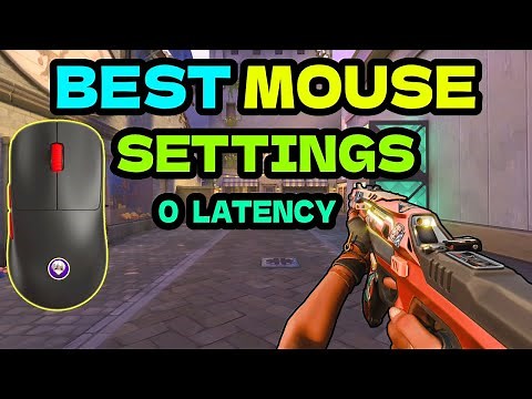 The BEST MOUSE SETTINGS to DOMINATE Any Game in 2025