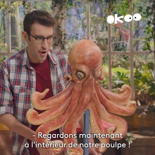 Les poulpes sont des animaux extrêmement intelligents 🧠 Découvrez en plus sur cet animal des mers aux multiples tentacules dans l'épisode en intégralité "Le poulpe, le mollusque savant " disponible sur Okoo ! ➡️ Retrouvez les nouveaux épisodes la saison 4 de "C'est toujours pas sorcier" sur l'application gratuite Okoo : https://app.okoo.fr/ctps | Okoo Francetv
