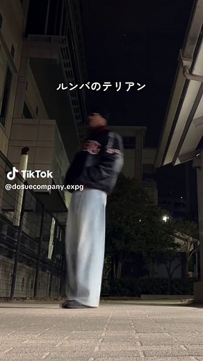 ルンバのテリアンの魅力を探る