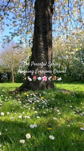 What is your favorite thing about the Spring Season?🪺🌷🐇 #springtimemagic #springambience #spring