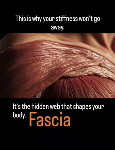 What is fascia — and how can scraping & dynamic cupping help?