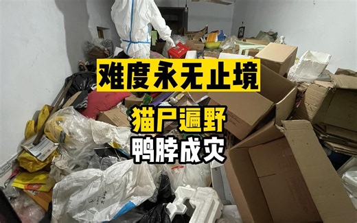 无法超越的房型！这是我们第一次对屋主发火，它们本来是能活下来的