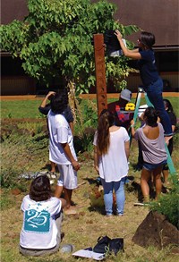 Summer Bridge program diversifies undergraduate enrollment | University of Hawaiʻi System News