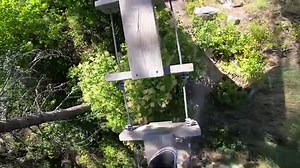 Aerial Adventure Park