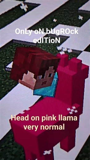 ONly ON bUgRock EDItion