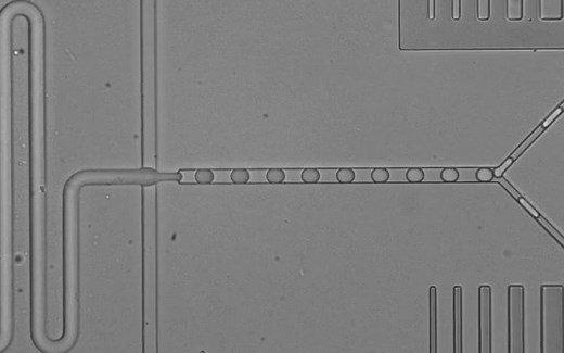 TTP Ventus - Disc Pump microfluidics