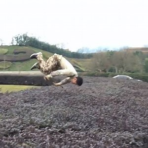 3.4M views · 32K reactions | Leaping onto roofs and vaulting over walls — this parkour pro is exceptional! #ChinaStory | China Daily | Facebook