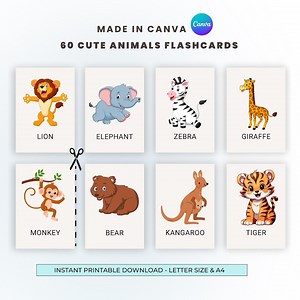 60 Animal Flash Cards for Kids | Toddlers Printable | Preschool Flashcards | Montessori Animal Cards | Educational PDF | Instant Download - Etsy Canada