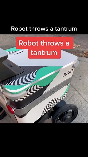 Aggressive Delivery Robot Encounter - Uber Eats?