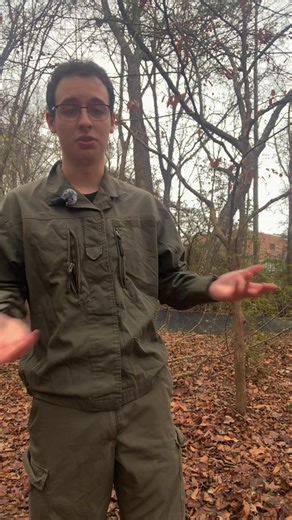 History of Austrian Military Jacket