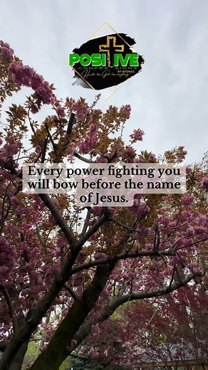 6.7K views · 495 reactions | ⚜️ Every power fighting you will bow before the name of Jesus.⚜️#Dailylife #Inspirational #pray #peace #deliverance #love #jesuslovesyou #christian #scripture #putgodfirst #bibleverse #healing #grace #fyp #foryoupage #worship #forgiveness #motivation #inspiration #praise | Positive Confessionz | Facebook
