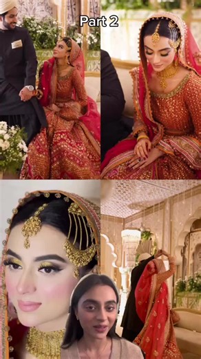 Elegant Pakistani Bridal Dress Breakdown