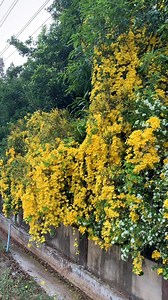 106K views · 2.8K reactions | James Mathew on Reels | Facebook