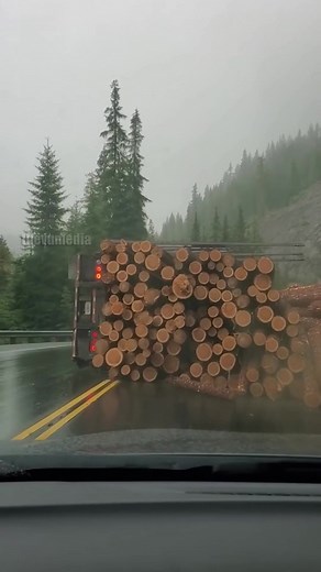 5.5M views · 3.8K reactions | A dramatic scene unfolded on a rugged...