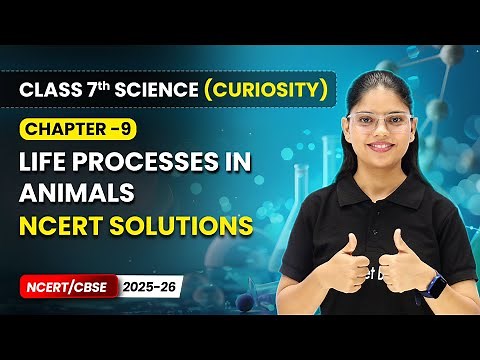 Life Processes in Animals - NCERT Solutions | Ch 9 | Class 7 Science Curiosity | CBSE 2025-26