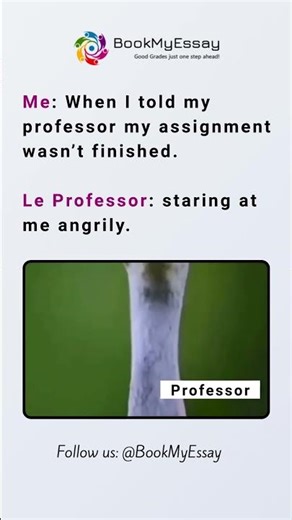 Me: My Assignment Isn’t Finished… Professor’s Reaction! 😡 #assignment #collegelifememes #funny