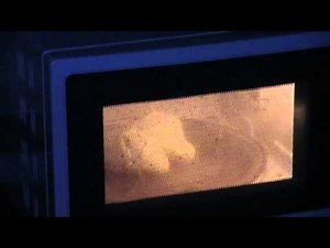 Microwave This: Marshmallow Peeps