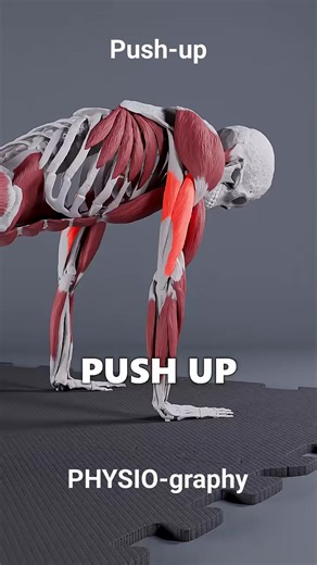 How to do push-up correct | PHYSIO-graphy
