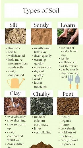6 Types of Soil Every Civil Engineer MUST Know!