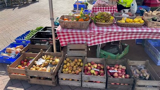 Faversham and Mid Kent MP urges government to rethink housing targets