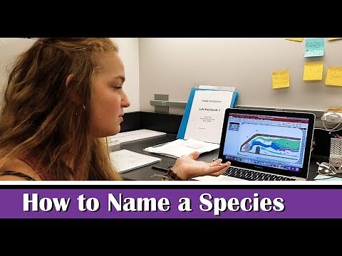 How to Name a Species