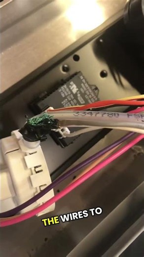 A Bad Washer Door switch Bypass Caused an Overflow