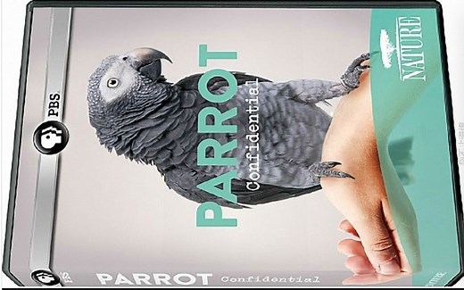 【PBS】自然系列 解密鹦鹉 双语字幕 Parrot Confidential