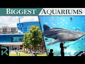 Massive Aquariums Around the World