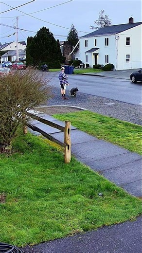 Gross dog takes a dump on the road.