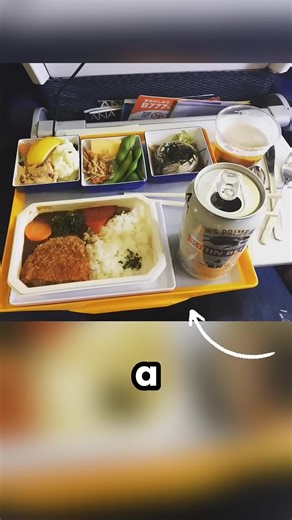 Flight Secrets You Didn't Know #shorts | Scientist Facts