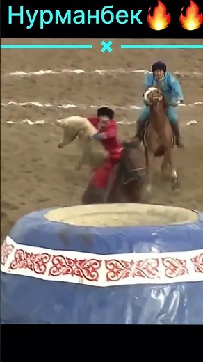 #adrenaline #horse #кокбору