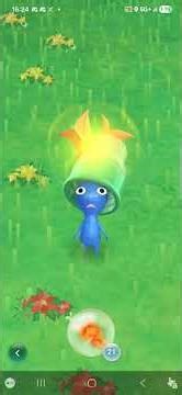 Blue Pikmin Getting a Laundry Item Decor (Pikmin Bloom) #shorts #pikmin #pikminbloom