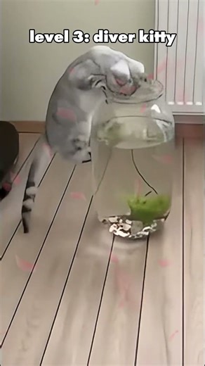 Cats Getting Stuck in the Worst Places #CatsOfTikTok #FunnyCats #CatFails