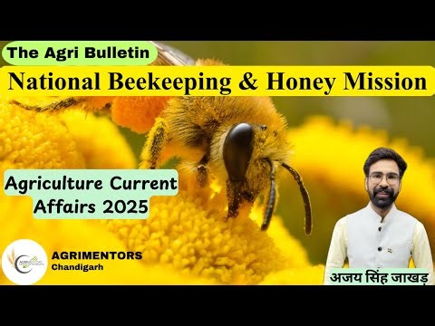 National Beekeeping & Honey Mission Explained | Sweet Revolution for Farmers